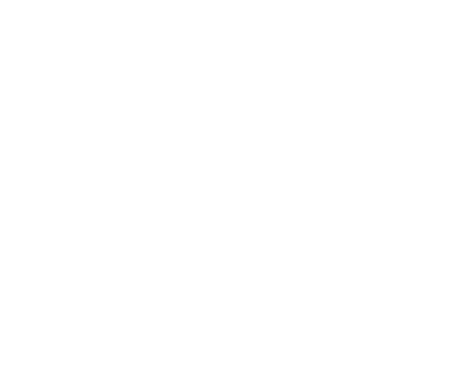 AU Services Group